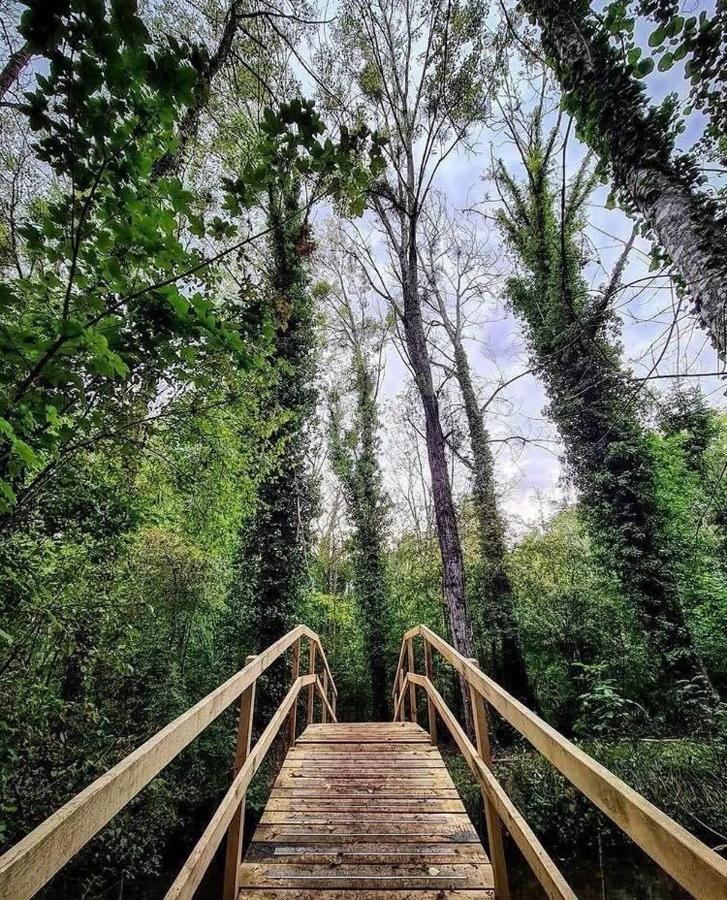 Gite Du Parc Des Mauves Meung-sur-Loire Eksteriør billede