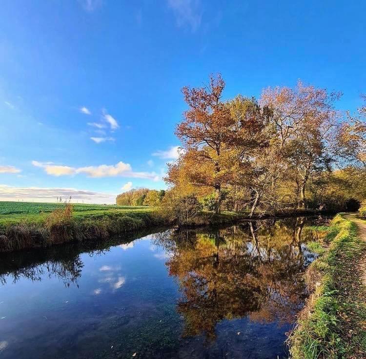 Gite Du Parc Des Mauves Meung-sur-Loire Eksteriør billede