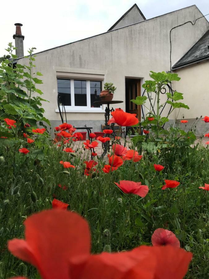 Gite Du Parc Des Mauves Meung-sur-Loire Eksteriør billede